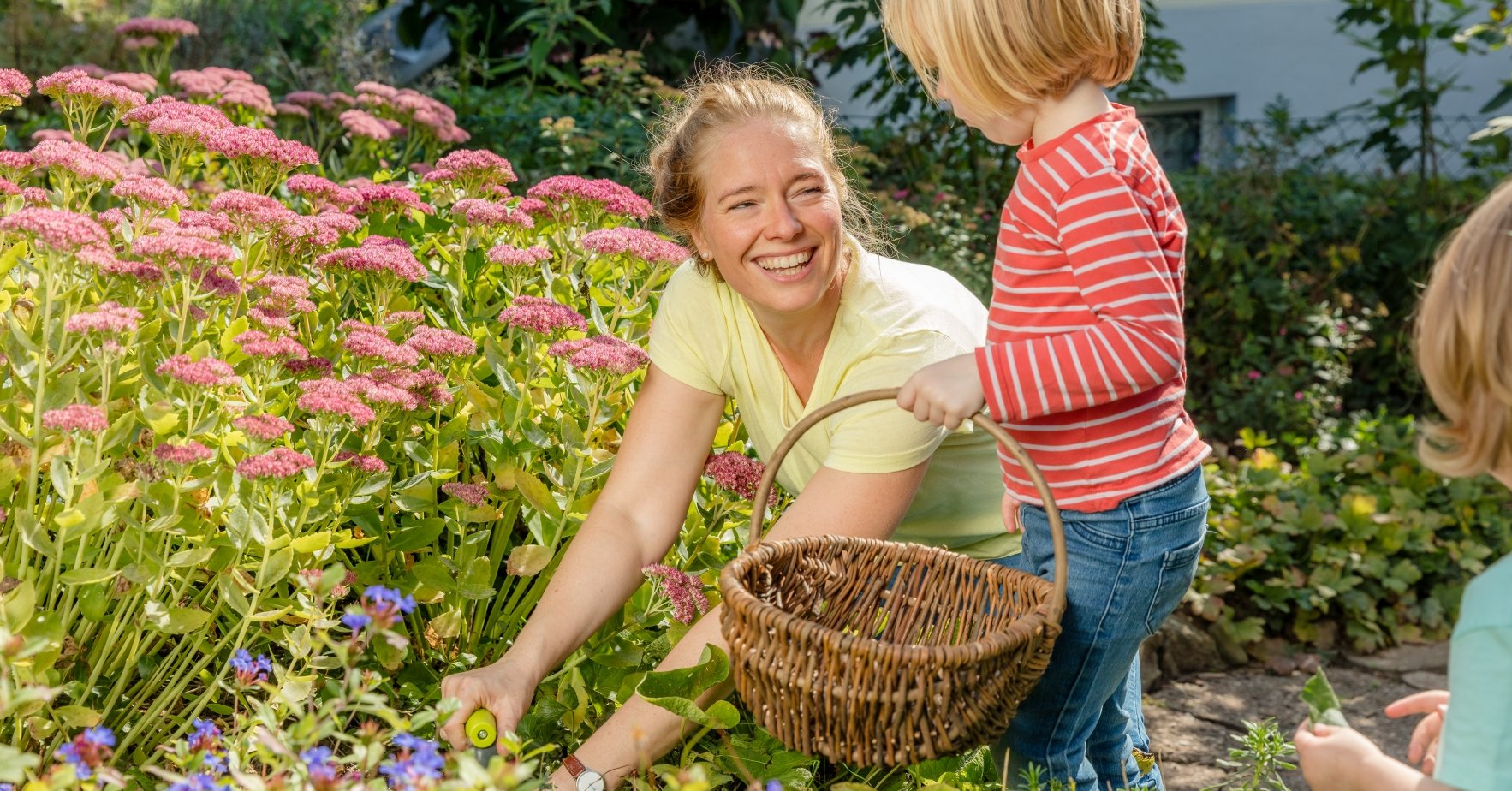 Ensemble, nous allons plus loin, prenant modèle sur la nature