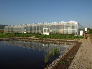 Regenwassersammelbecken Regenwassersammelbecken