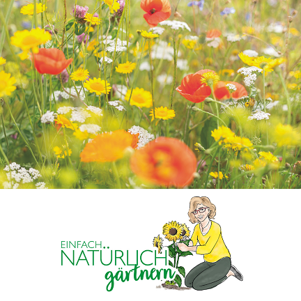 Podcast Folge Blumenwiese für den Garten Podcast Folge Blumenwiese für den Garten