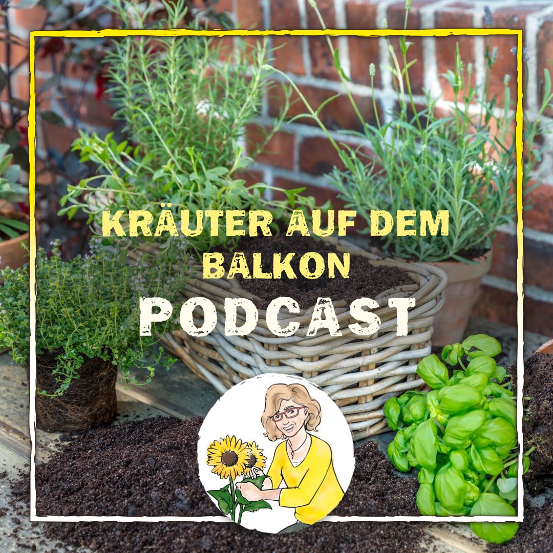 Podcast Folge 47 Podcast Folge 47