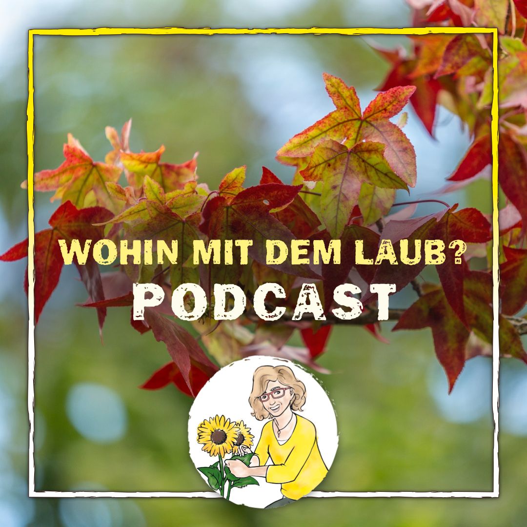 Wohin mit dem Laub Wohin mit dem Laub