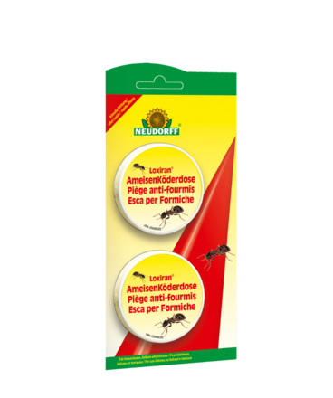 Loxiran Piège anti-fourmis