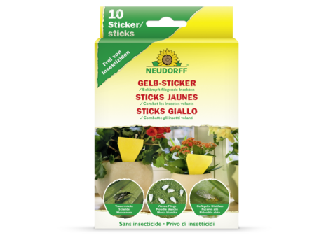 Gelb-Sticker