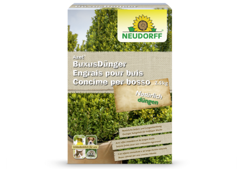 Engrais pour buis