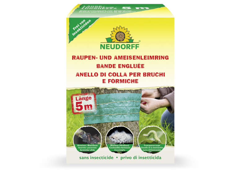 Bande engluée