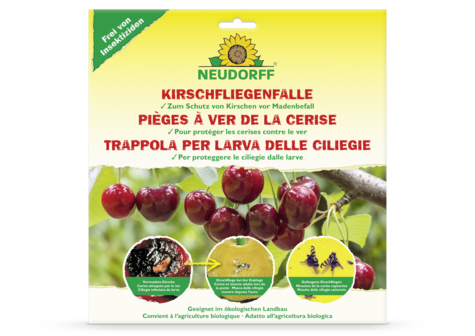 Pièges à ver de la cerise