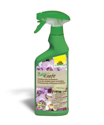 Neudorff BioKraft Cure de vitalité pour orchidées Spray