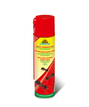 Spray anti-fourmis Loxiran
