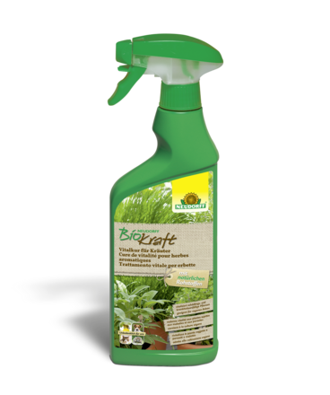 Neudorff BioKraft Cure vitalité pour herbes condimentaires Spray