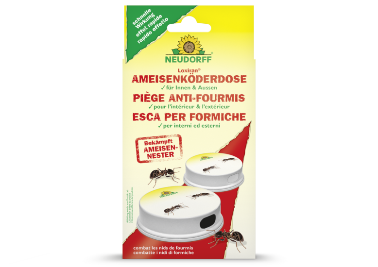 Loxiran Piège anti-fourmis